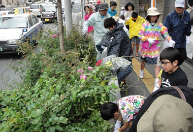 歩道の植え込みでゴミ拾い