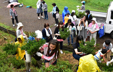 サツキを植樹