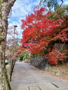 宇治神社周辺の路上