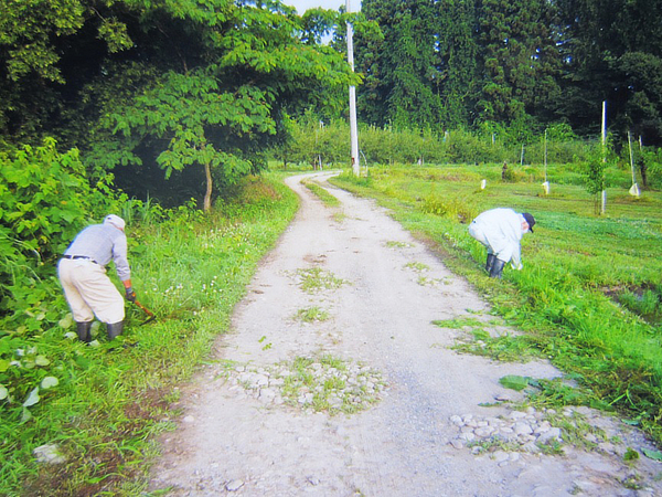 道沿いの草刈り